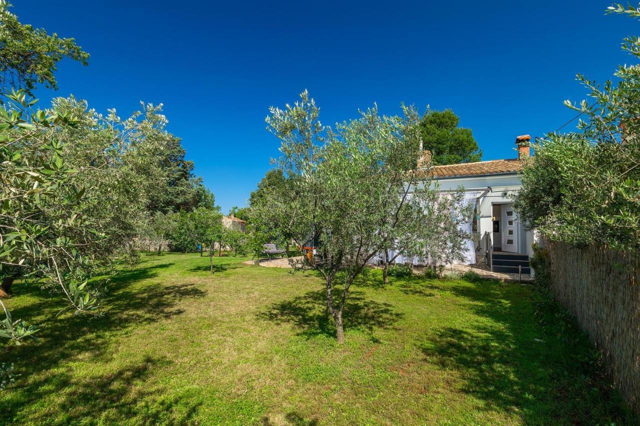 Holiday House Chill Out Loborika Marcana Екстер'єр фото