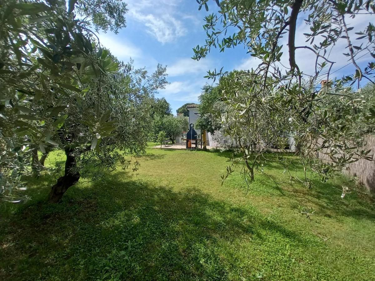 Holiday House Chill Out Loborika Marcana Екстер'єр фото